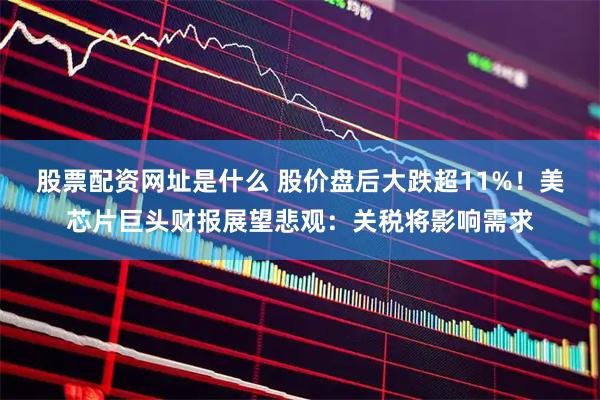 股票配资网址是什么 股价盘后大跌超11%！美芯片巨头财报展望悲观：关税将影响需求