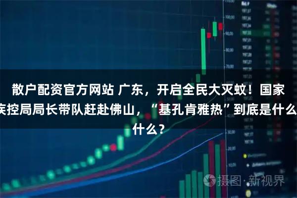 散户配资官方网站 广东，开启全民大灭蚊！国家疾控局局长带队赶赴佛山，“基孔肯雅热”到底是什么？