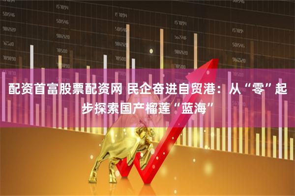 配资首富股票配资网 民企奋进自贸港：从“零”起步探索国产榴莲“蓝海”