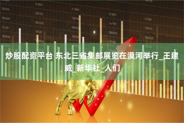 炒股配资平台 东北三省集邮展览在漠河举行_王建威_新华社_人们